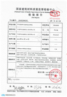 國家檢查報告（6公分140）