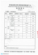 國家檢查報告（6公分140）