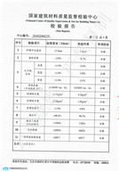 國家檢查報告（6公分160）