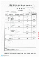國家檢查報告（6公分160）